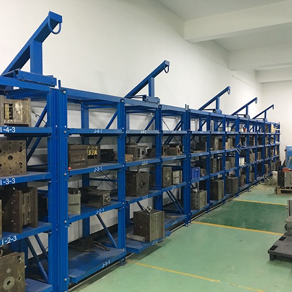 mold shelves